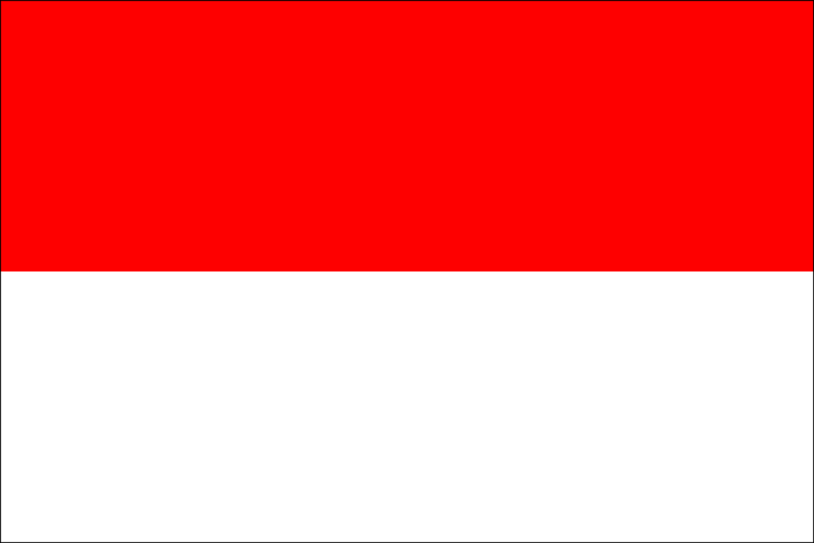 виза в Индонезию