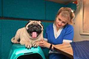 Купить билеты на поезд Таврия на места с животными