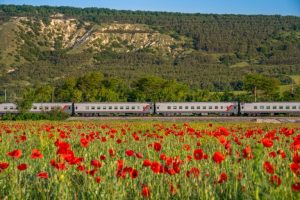 Билеты Москва - Тамань на поезд Таврия