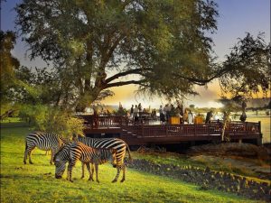 Туристическая страховка в Замбию