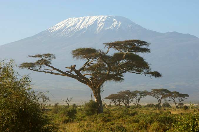 Килиманджаро - крыша Африки ждёт Вас